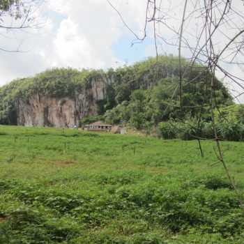 Vallei de Viñales